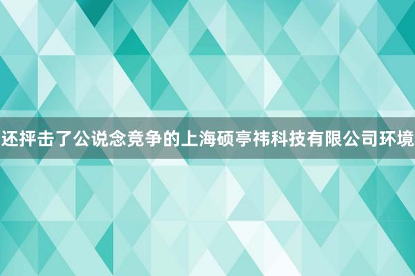 还抨击了公说念竞争的上海硕亭祎科技有限公司环境